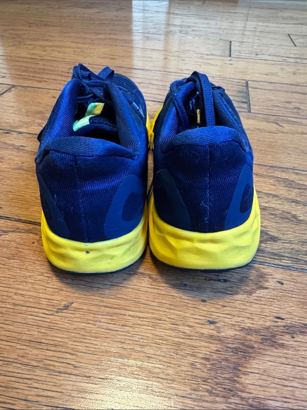 New Balance Youth Fresh Foam Arishi v4